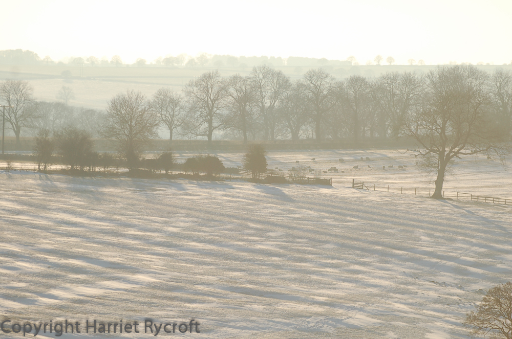 Ridge and furrow in the Cotswolds