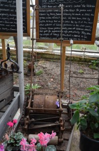 A hotspot of horticultural history