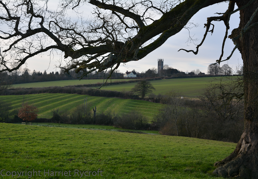 A connection with past land use. Ridge and furrow in Oxfordshire.