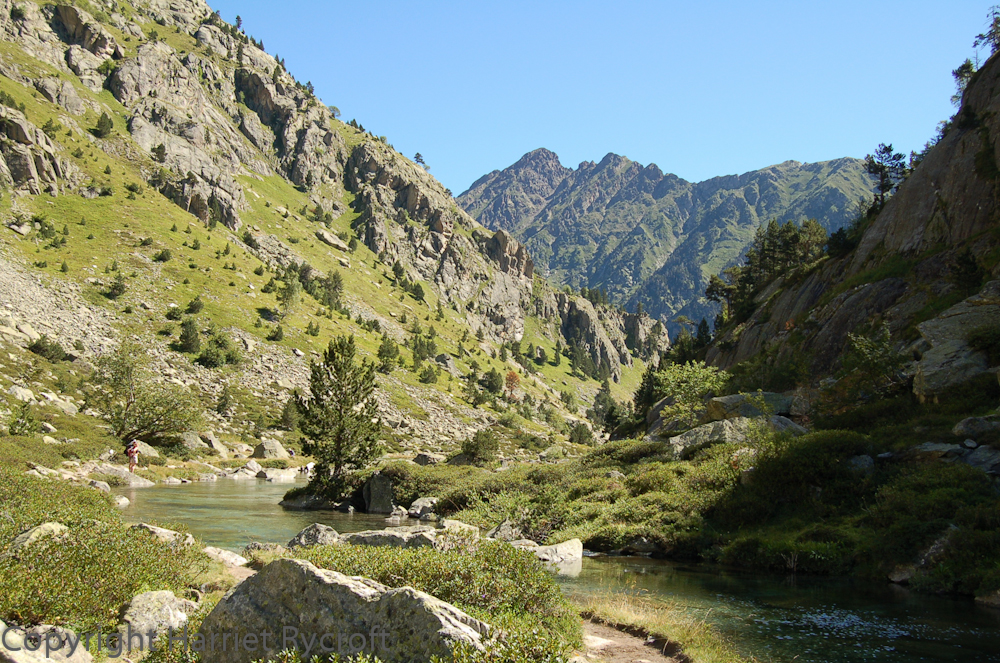 In the Pyrenees - no serious botanising for me, unfortunately