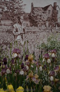 Cedric Morris and his watercolour-toned irises.