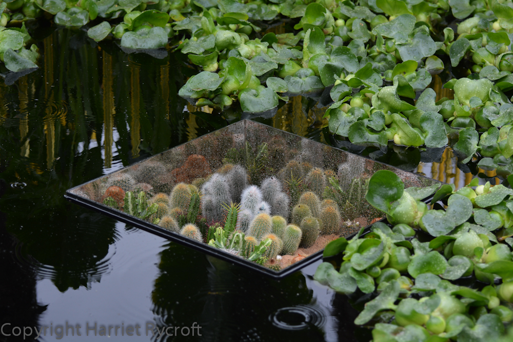 Brilliantly executed water tricks on the World Vision Garden by John Warland