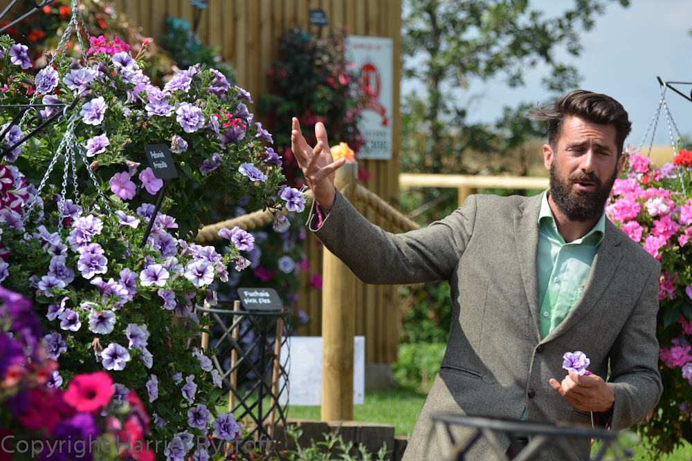Show and Tell. Michael Perry in full flow about T&M's petunias 