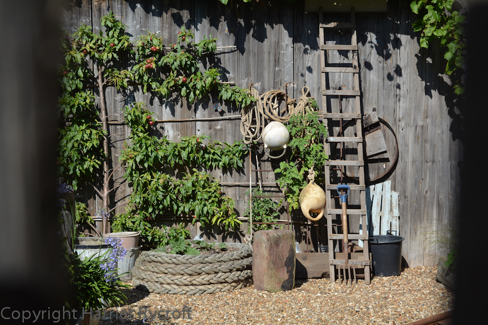 Little garden with a nautical theme in Brightlingsea 