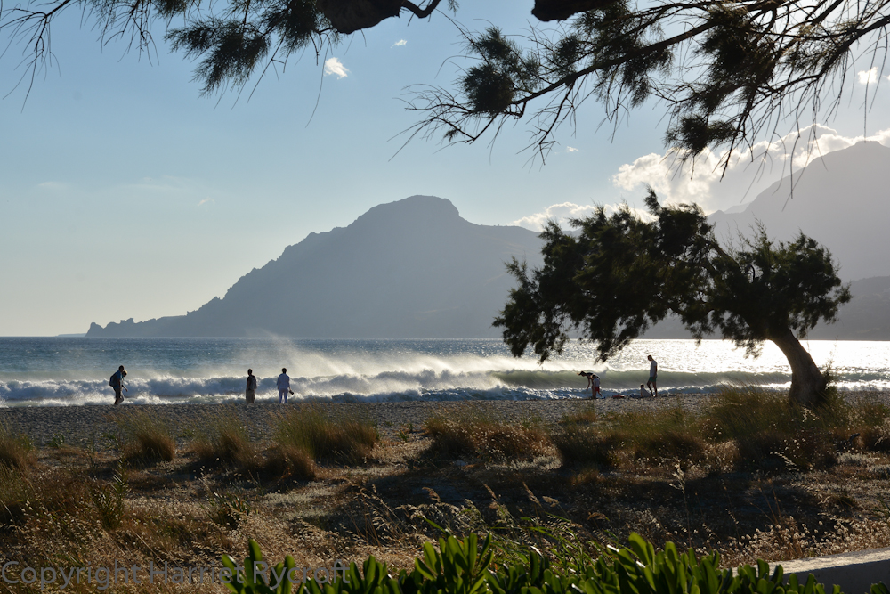 June saw us in Crete, part of the time in the notoriously windy seaside resort of Plakias. Having been brought up near Exmoor I've always been fond of wind-pruned trees.