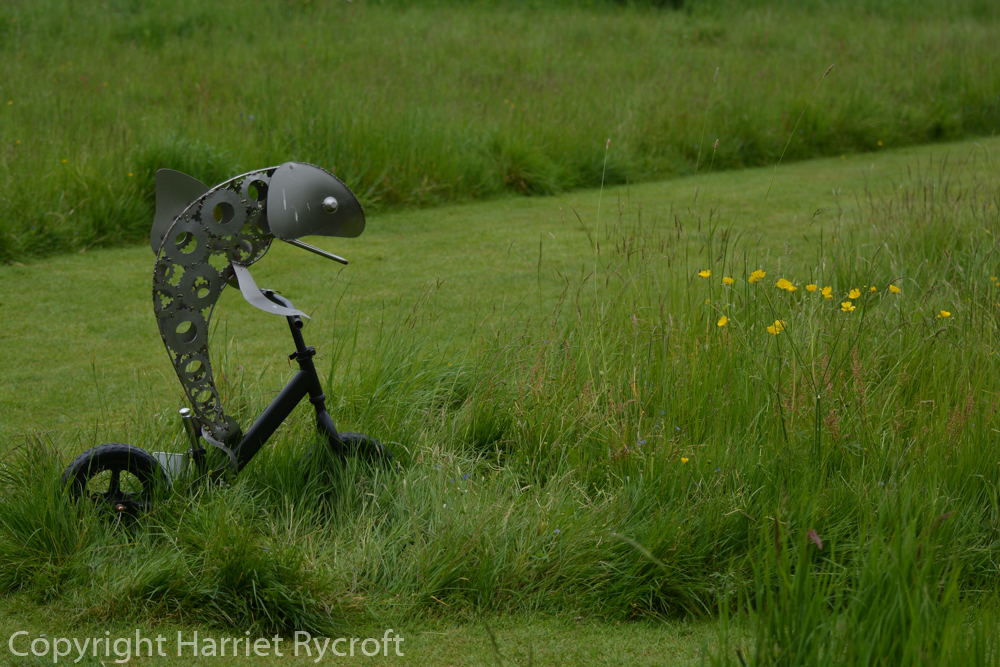 Pike on a Trike by Daren Greenhow. Makes me think about fish needing bicycles...
