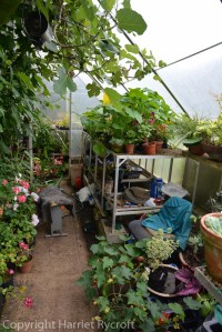 Can't think why I felt more at home in here...