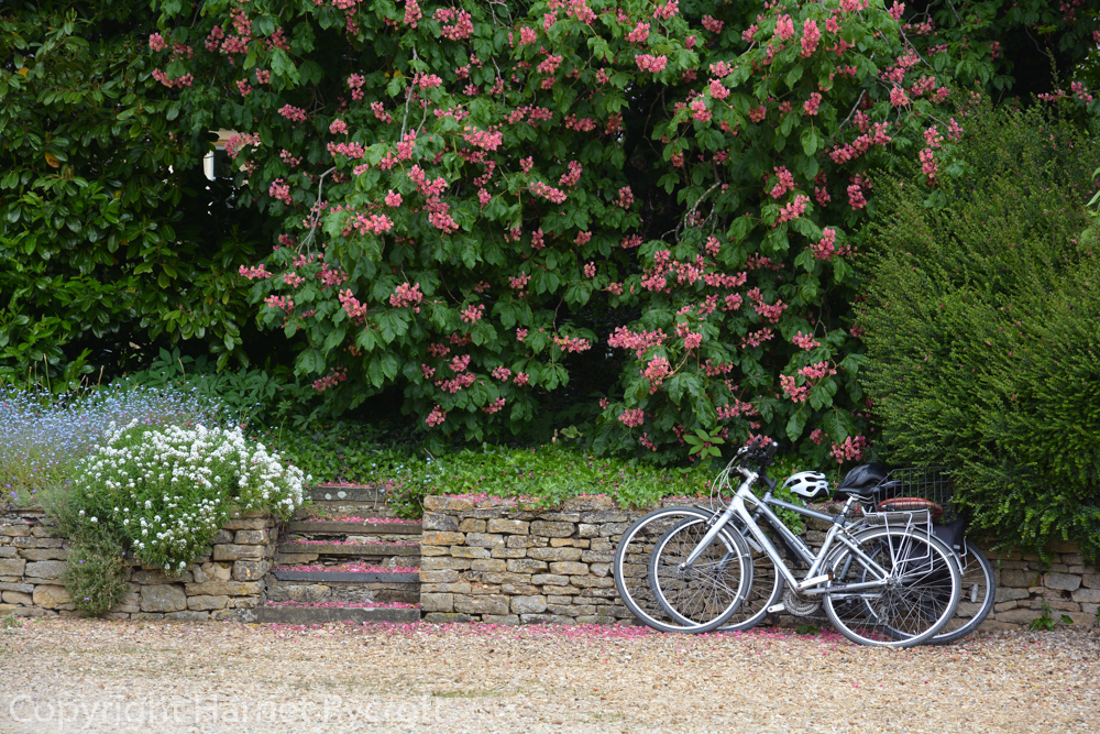 Going Nowhere, by L.Y. Cra