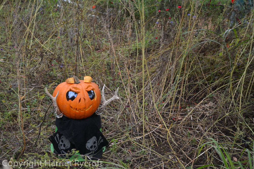 Boo! One of the creations by the garden team at the Cotswold Wildlife Park