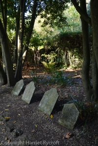 Dogs' graveyard at Abbotsbury Subtropical Gardens, Dorset. Some heart-rending tails here.