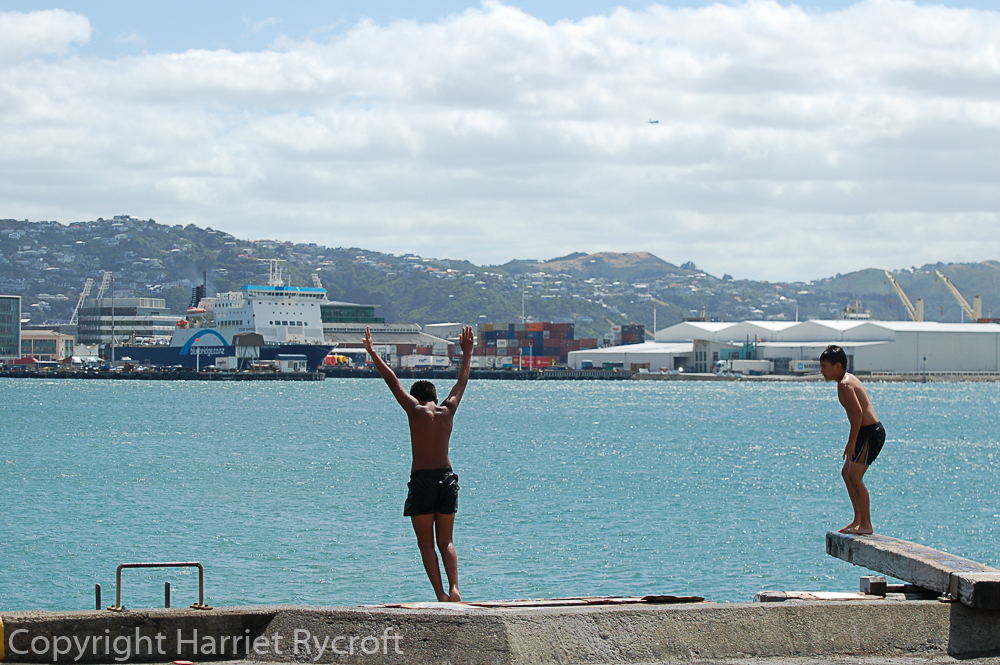 Boys diving from Wellington waterfront. There can't be many capital cities where you can do this.