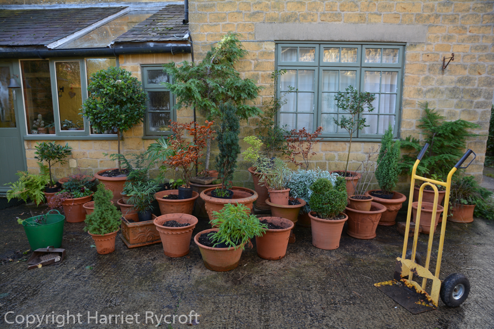 Planting pots for winter