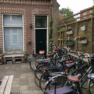 Bicycles, pallet bench