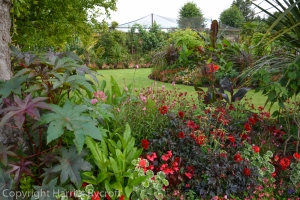 walled garden,cotswold wildlife park,summer planting